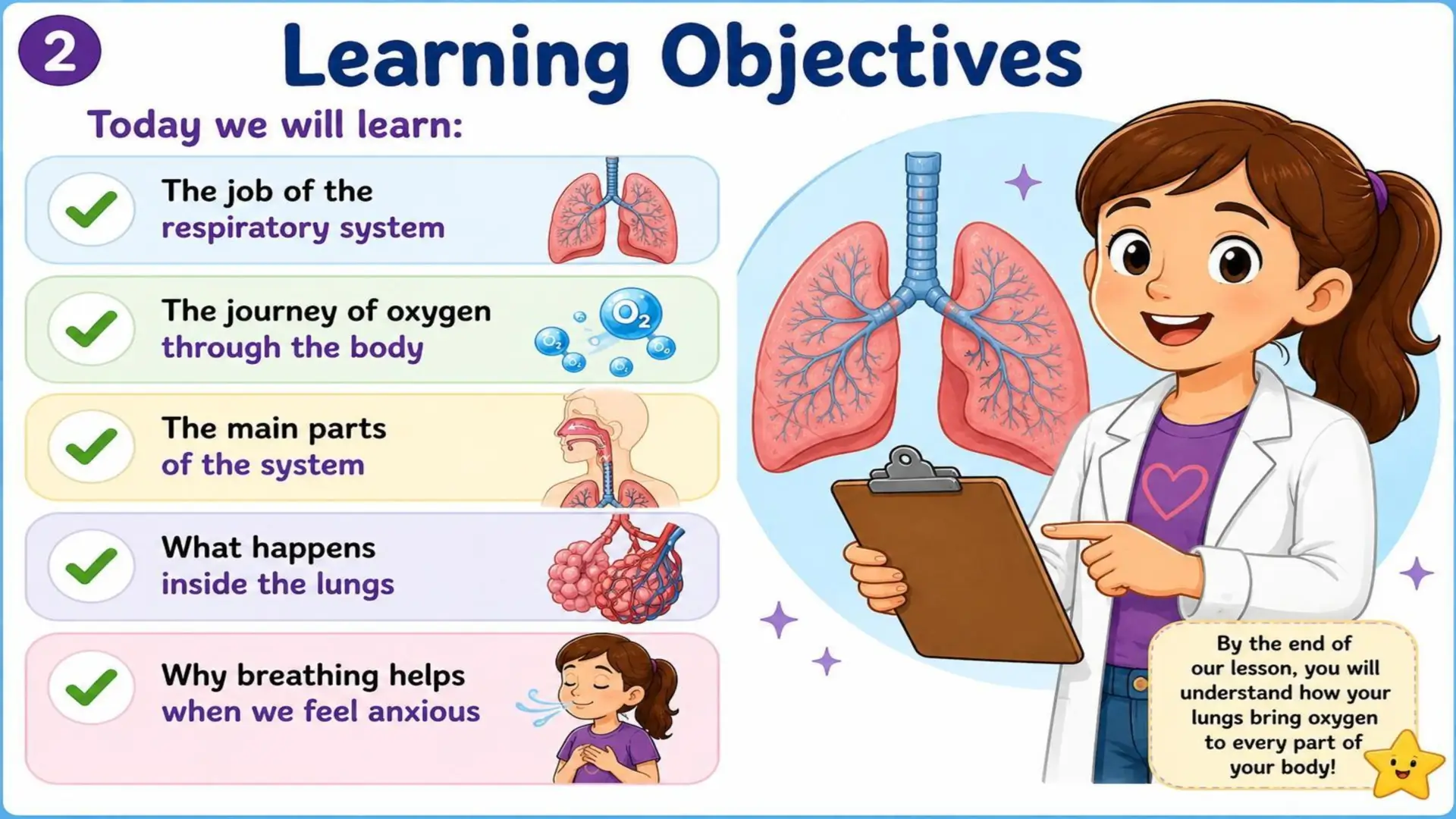 The Respiratory System: The Amazing Journey of Oxygen 2