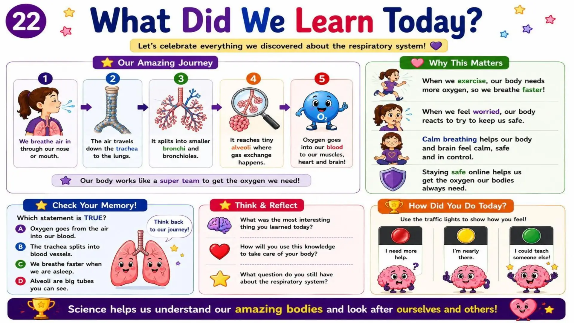 The Respiratory System: The Amazing Journey of Oxygen 23