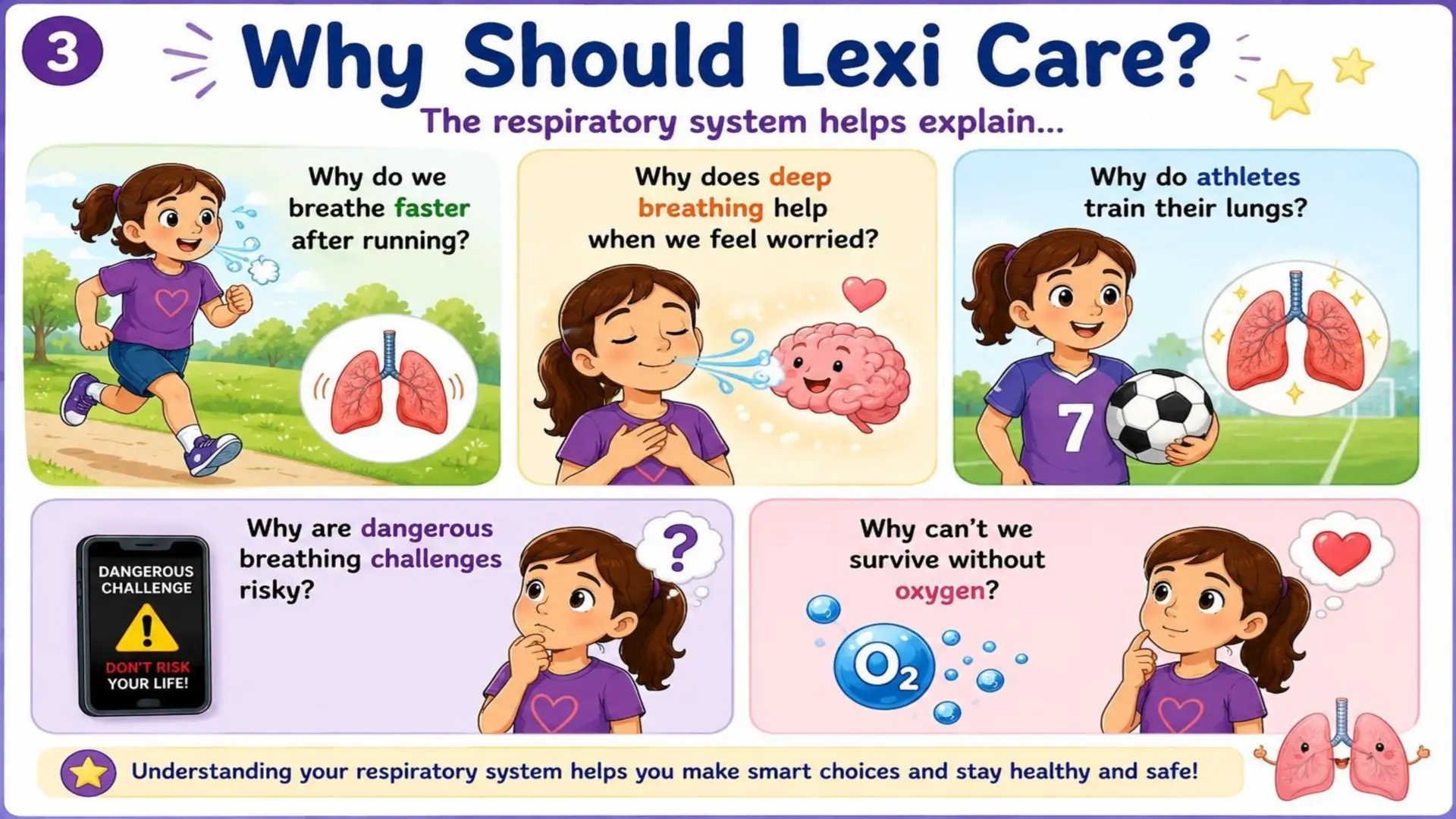 The Respiratory System: The Amazing Journey of Oxygen 3