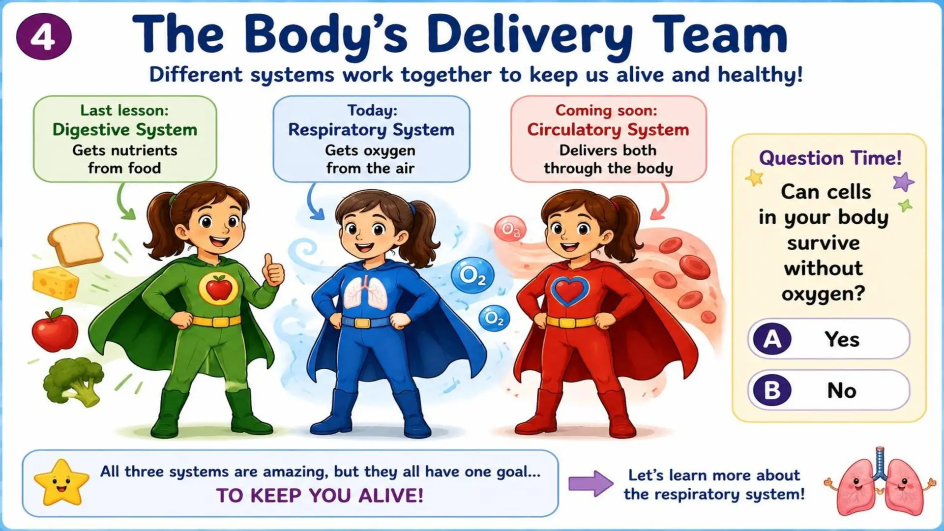 The Respiratory System: The Amazing Journey of Oxygen 4